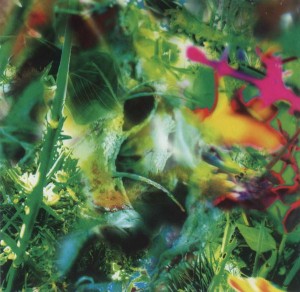 Second Nature album Cover