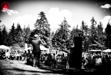 Palp Festival 14.08.2016