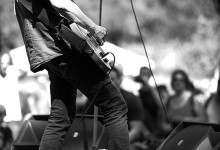 Palp Festival 14.08.2016