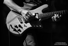 Palp Festival 14.08.2016
