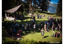 Palp Festival 2016