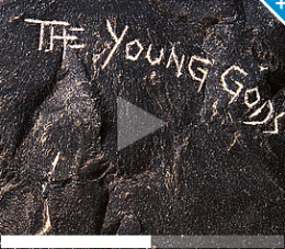 Y COMME YOUNG GODS