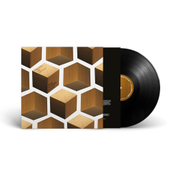THE YOUNG GODS ‘KNOCK ON WOOD - THE ACOUSTIC SESSIONS’ VINYL REISSUE [REMASTERED]